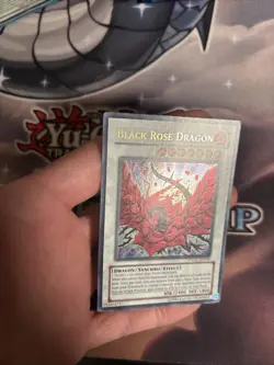 (MC) Yugioh Black Rose Dragon CSOC-EN039 Ultra Rare Unlimited Edition VLP - Image 4
