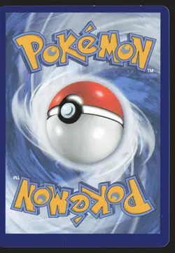 SWSH: Sword & Shield Promo Cards Infernape V #SWSH252 Promo Pokemon Card - Image 2