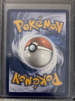 Pokemon Card Mega Sharpedo EX 113/094 Phantasmal Flames Full Art Near Mint - Image 2