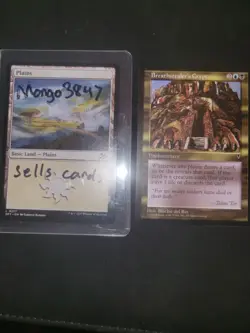 Breathstealer's Crypt - Magic the Gathering MTG - Visions Regular - Image 3