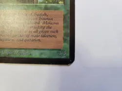 Magic The Gathering Ironroot Treefolk Alpha Edition Regular - Image 4