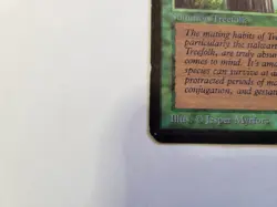 Magic The Gathering Ironroot Treefolk Alpha Edition Regular - Image 5