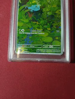 Bulbasaur Illustration Rare 2023 151 Pokemon Set PSA 8 #166 English Version - Image 3