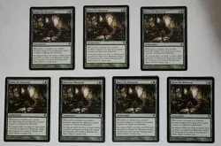 MTG Magic The Gathering Quest For Renewal Worldwake Regular - Image 1