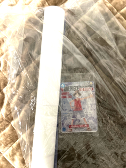 One Piece Monkey D Luffy College Basketball US Voyage Promo Card with Poster! - Image 4