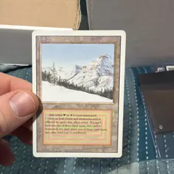 Taiga Dual Land MTG Revised Edition MP/HP - Image 1