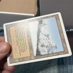 Taiga Dual Land MTG Revised Edition MP/HP - Image 4