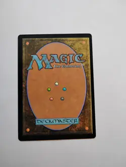 Sylvan Library Commander Collection: Green Regular - Image 2