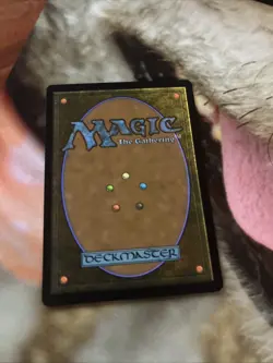 Sylvan Library Commander Collection: Green Regular - Image 2