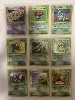 Pokemon Card COMPLETE Jungle Master Set 48/48 1999 Japanese - Image 3