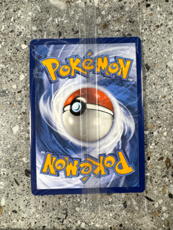 Pokemon TCG Charmander SVP044 Illustration Rare Black Star Promo Holo SEALED - Image 2