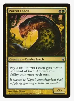 Putrid Leech | MTG Duel Decks: Golgari | Pauper Aggro | LP-NM - Image 1
