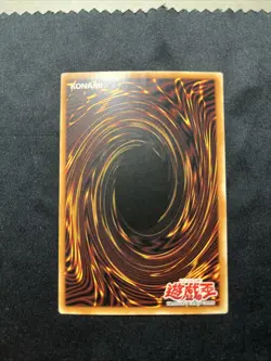 Yu-gi-oh - Blue-Eyes Toon Dragon 1st Ed. Asian English LP-NM - Image 2