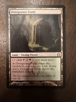 Overgrown Tomb : MTG / Return to Ravnica #243 / NM - Image 1