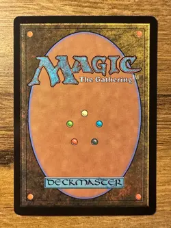 Magic MTG Final Fantasy Sin, Spira's Punishment #508 FIN *NON-FOIL* Extended Art - Image 2