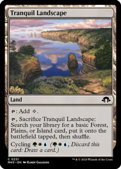 SET of Landscapes - Fetch Tri Lands 10x MTG Magic Commander Landscape NM - Image 4