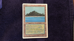 TROPICAL ISLAND Dual Land 1994 Revised FWB German MTG Unplayed NM to LP - Image 2