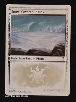 Snow-Covered Plains (White Border) Mystery Booster 2 Regular - Image 1