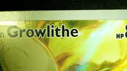 Hisuian Growlithe 181/167 IR Pokemon Twilight Masquerade Illustration Rare LP/NM - Image 5