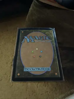 Hermit Druid (Showcase) Innistrad Remastered Foil - Image 2
