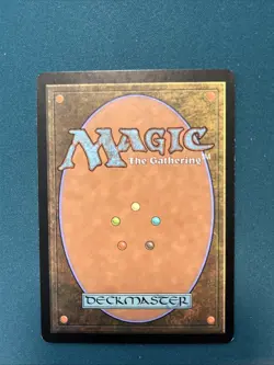 MTG Retraced Image Torment Regular NM - Image 2