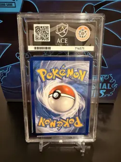 Ace 10 Raikou V GG41/GG70 Crown Zenith Pokemon TCG - Gem Mint - Image 2