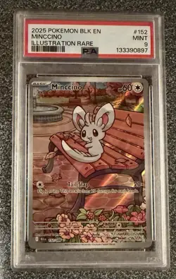 2025 Pokemon SV BLK EN Black Bolt #152/086 Minccino PSA 9 Illustration Rare IR - Image 1
