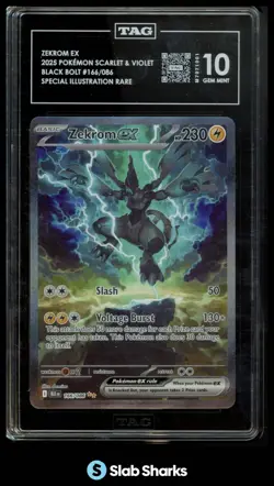 2025 POKEMON SV BLACK BOLT - BLK EN ZEKROM EX SPECIAL ILLUSTRATION RARE TAG 10 - Image 1