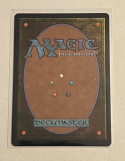 MTG Ajani Outland Chaperone - Borderless - Lorwyn Eclipsed #284 - Image 2