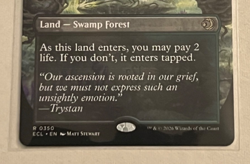MTG Overgrown Tomb - Borderless - Lorwyn Eclipsed #350 - Image 3