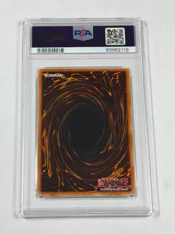 PSA 7 NM Red-Eyes Black Metal Dragon FMR-001 Secret Rare Promo *2119 Yugioh - Image 3