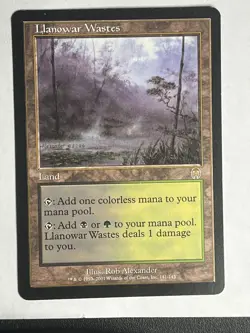 MTG - LLanowar Wastes - Apocalypse - Reg En (LP) - Image 1
