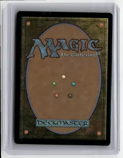 2024 MTG - Universes Beyond: Assassin's Creed - Brotherhood Regalia Regular - Image 2