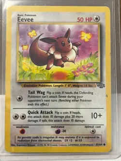 Eevee - 51/64 - Common - Unlimited Edition NM, English Pokemon Jungle - Image 1
