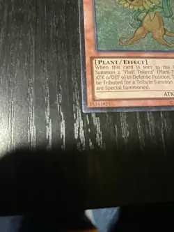 Yugioh - Dandylion - AP04-EN001 - Ultimate Rare - Lightly Played - Image 4