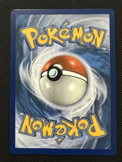Pokemon TCG Squirtle 148/142 Stellar Crown Illustration Rare Card - Image 2