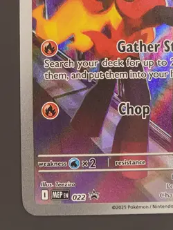 Charcadet 22 Pokemon Center Exclusive Stamped Promo Phantasmal Flames ETB - Image 4