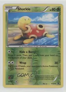 Shuckle Reverse Foil Pokemon XY Fates Collide #1 - Image 1