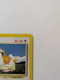 💎NM+ 4th UK Print Pidgey #57/102 Base Set Pokemon Card 1999-2000 WOTC TCG PSA - Image 4