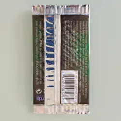 Homelands Booster Pack MTG Magic the Gathering WOTC 1995 Factory Sealed English 742818065085 - Image 4