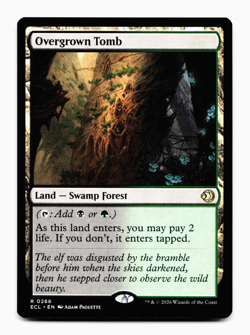Overgrown Tomb [Lorwyn Eclipsed] Magic MTG ECL 0266 - Shock Land 💀🌳 - Image 1