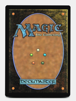 Vernal Fen [Commander: Lorwyn Eclipsed] MTG Magic 💀🌳 - Image 2