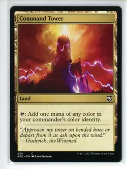 COMMAND TOWER Forgotten Realms Commander #230 AFC(NM+)(MTG) - Image 1