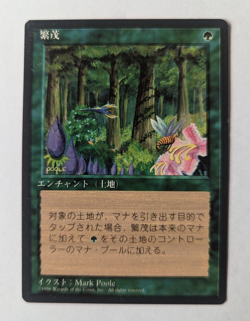 Magic Mtg Japanese FBB Wild Growth near mint - Image 1