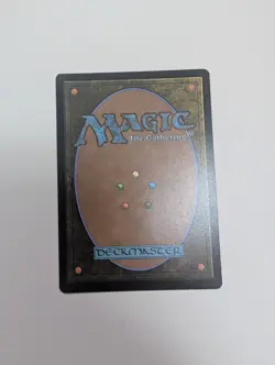 MTG - Twinflame Travelers (Showcase) - Lorwyn Eclipsed NM/M Condition - Image 4