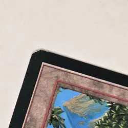 Rainbow Vale Fallen Empires Regular MP MTG Magic The Gathering Ships FAST - Image 2