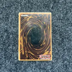 Dark Paladin DMG-001 Duel Master's Guide Limited Edition - Image 2