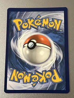 Pokemon TCG Squawkabilly EX 264/193 Paldea Evolved Special Illustration Rare NM - Image 2
