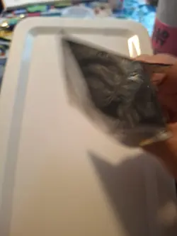 Empty. Pokemon Tcg 1st Ed Neo Genesis Booster Pack Sleeve Typhlosion No Cards. - Image 3