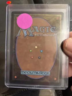 Morningtide's Light Showcase Lorwyn Eclipsed Magic The Gathering Regular Z156 - Image 2